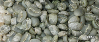 FNC認定の豆