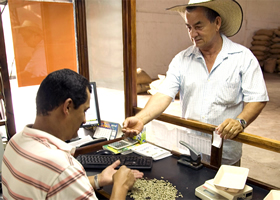 ▲写真はコロンビアのコーヒー売買所。欠点豆の割合や豆のサイズで、買い取り価格が決まる